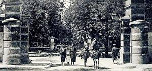 2633- Blida - Porte Bizot2